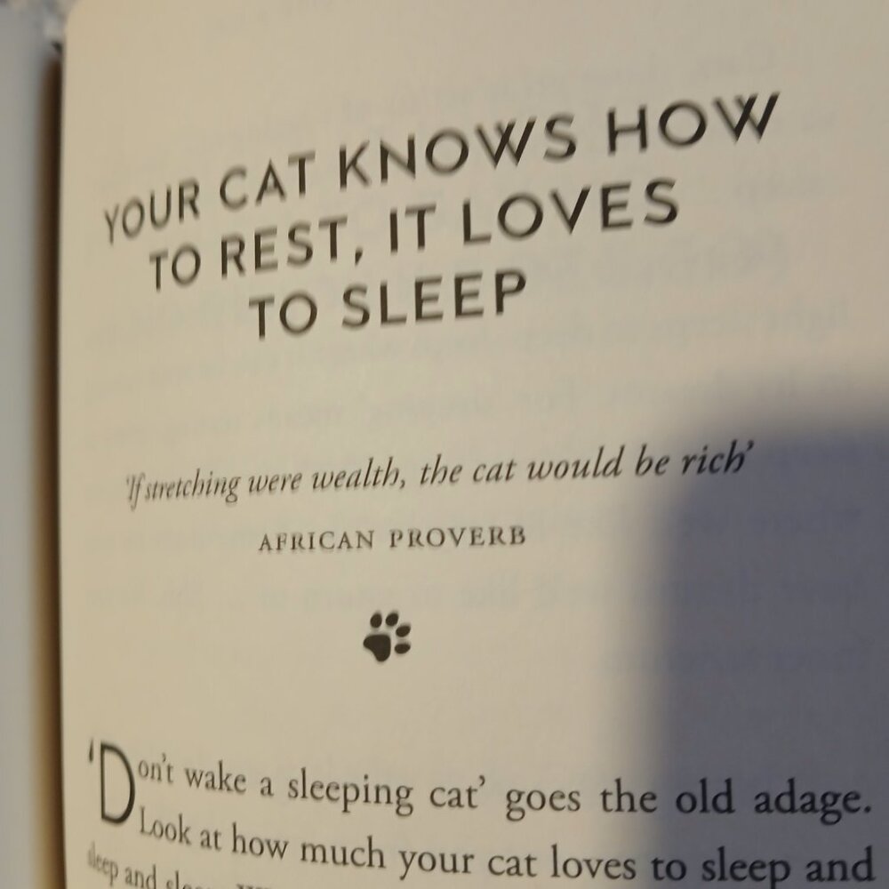 Book Hardcover "How to Think Like a Cat" GUC - Picture 4 of 6